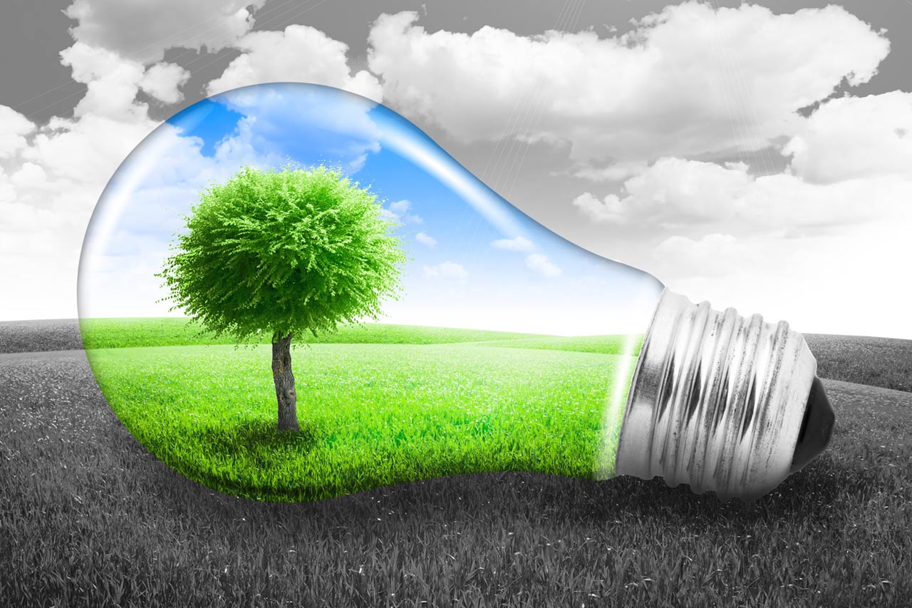 See How LED Lighting can Help the Environment